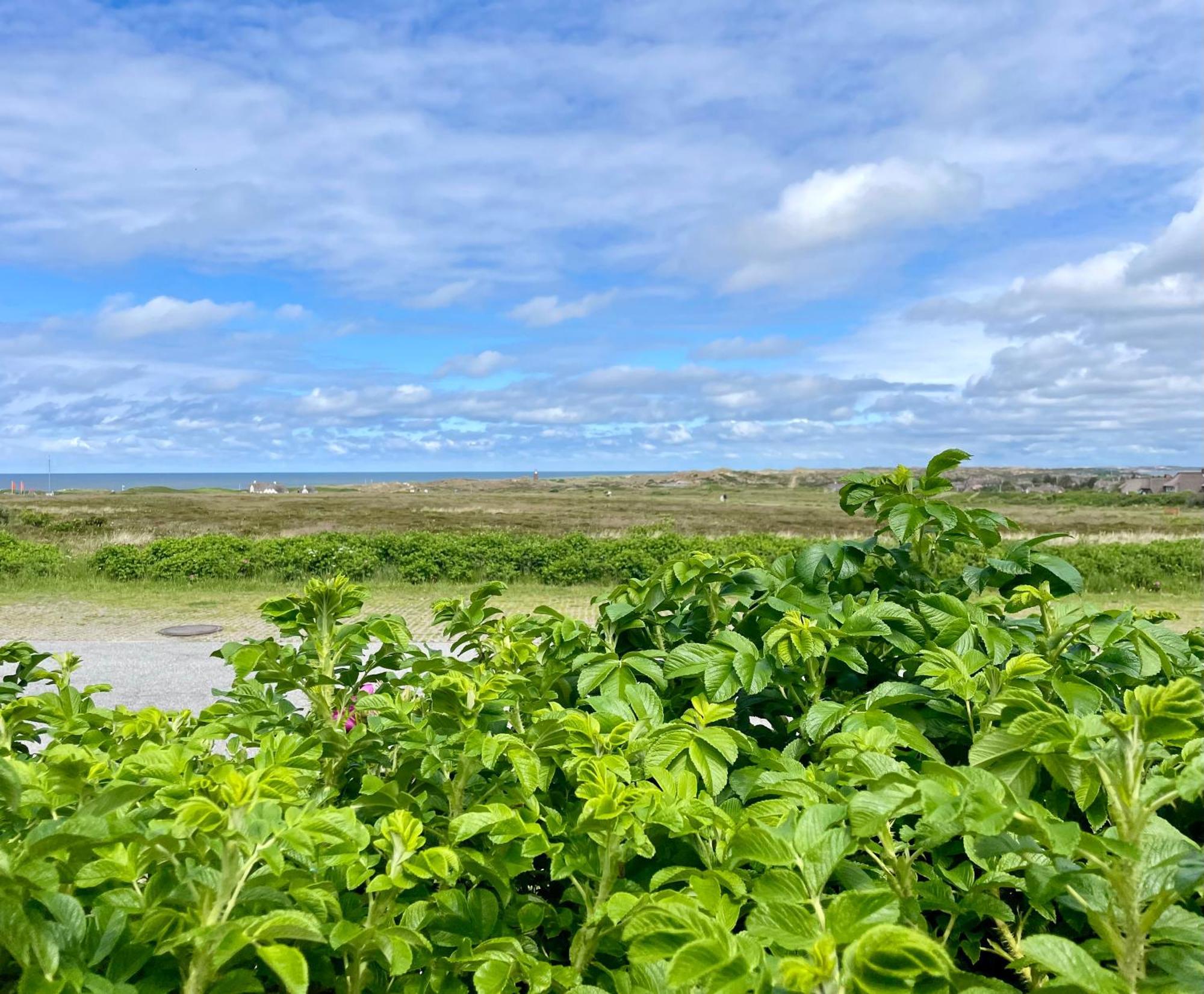 Apartment Frische Brise 4 Strandburg *